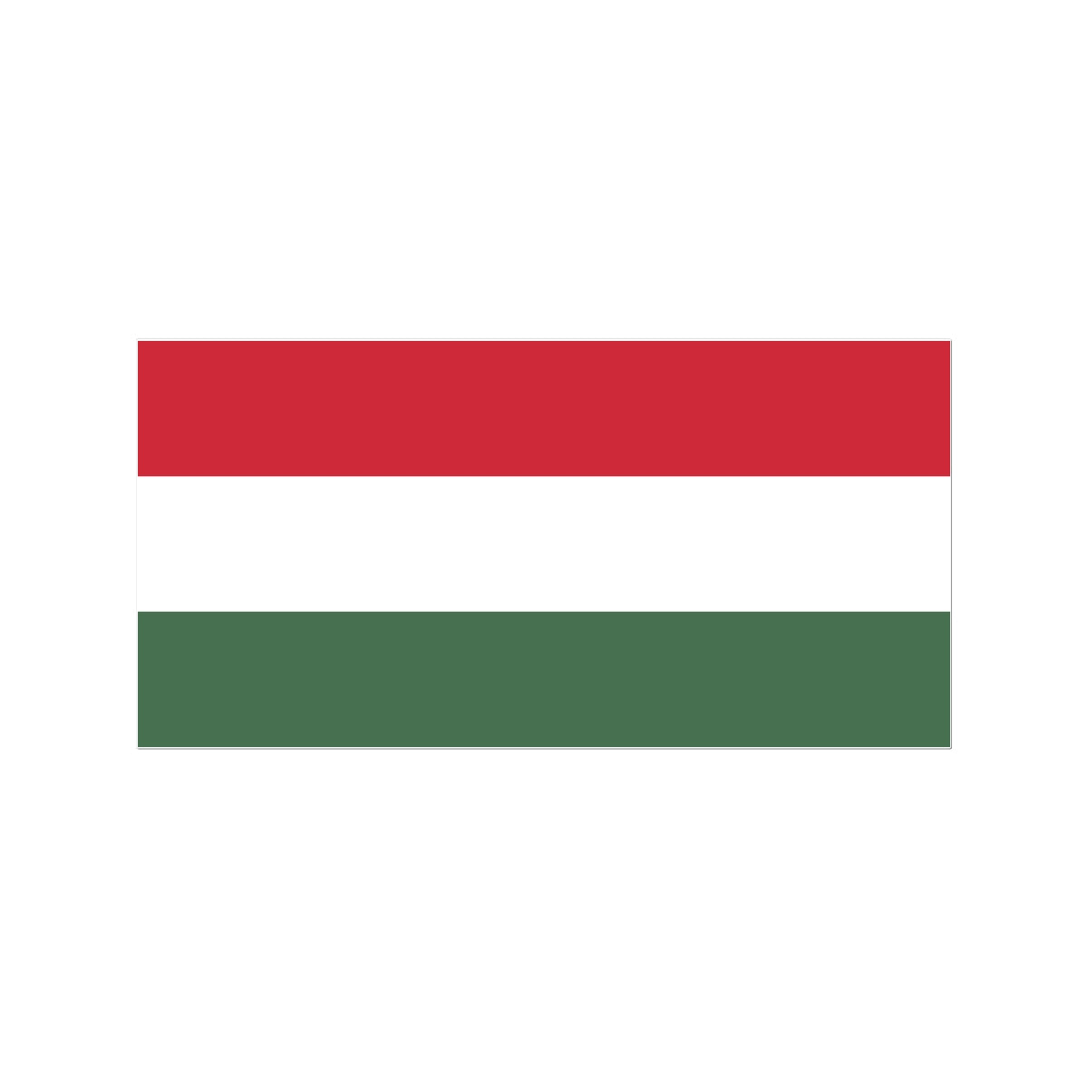 Hungary Flag Tattoo (Temporary) Tattoos Prodigi 3"x4"  