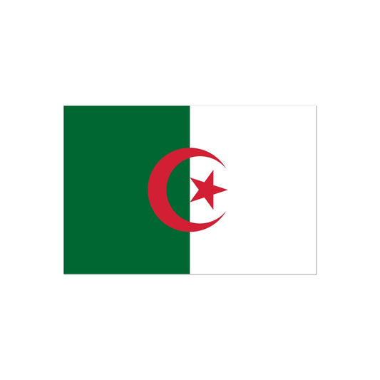 Algeria Flag Tattoo (Temporary) Tattoos Prodigi 2"x3"  