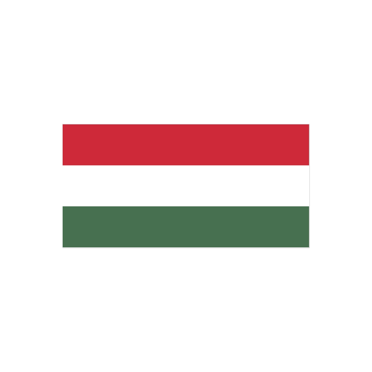 Hungary Flag Tattoo (Temporary) Tattoos Prodigi 4"x6"  