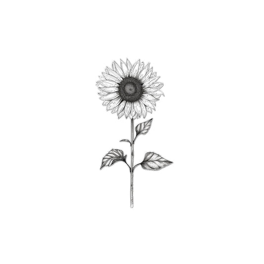 Sunflower Sketch Temporary Tattoo Tattoos Prodigi 2"x3"  