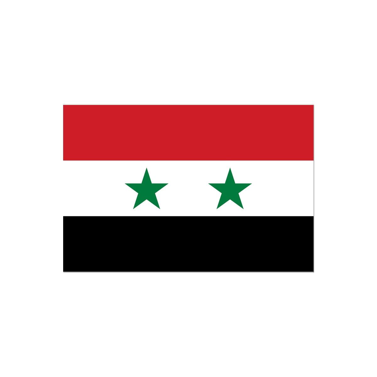 Syria Flag Tattoo (Temporary) Tattoos Prodigi 2"x3"  