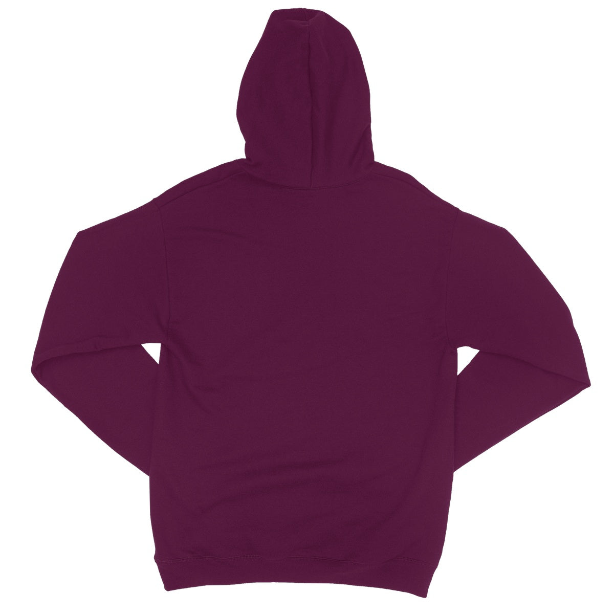 The Designation of The Raven College Hoodie Apparel Prodigi   