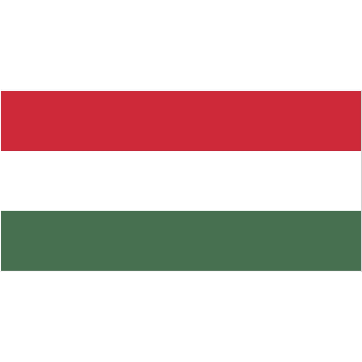 Hungary Flag Tattoo (Temporary) Tattoos Prodigi 12"x12"  