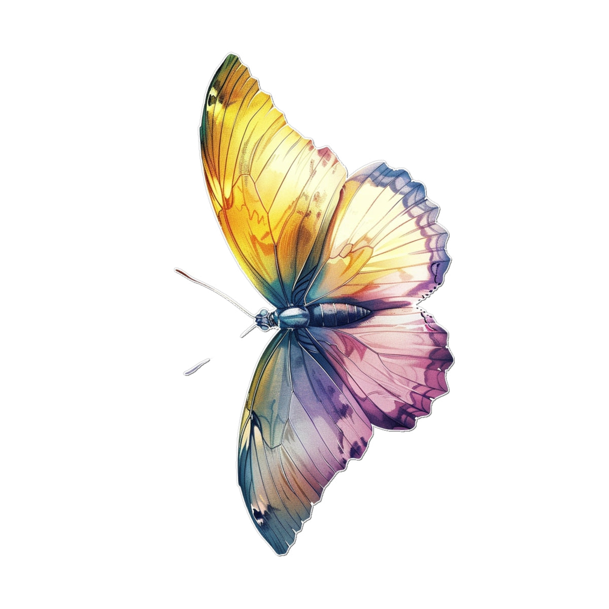 Water Colors Butterfly Tattoo (Temporary) Tattoos Prodigi 2"x3"  