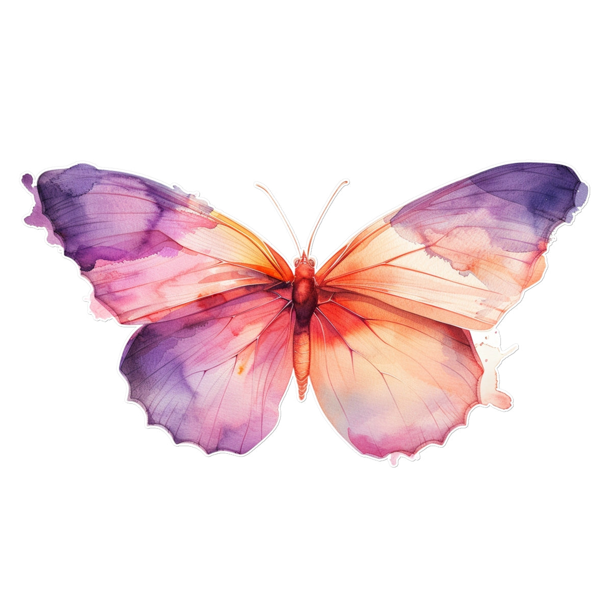 Water Colors  Butterfly Tattoo (Temporary) Tattoos Prodigi 12"x12"  