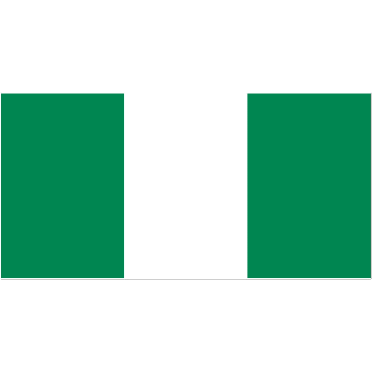 Nigeria Flag Tattoo (Temporary) Tattoos Prodigi 12"x12"  