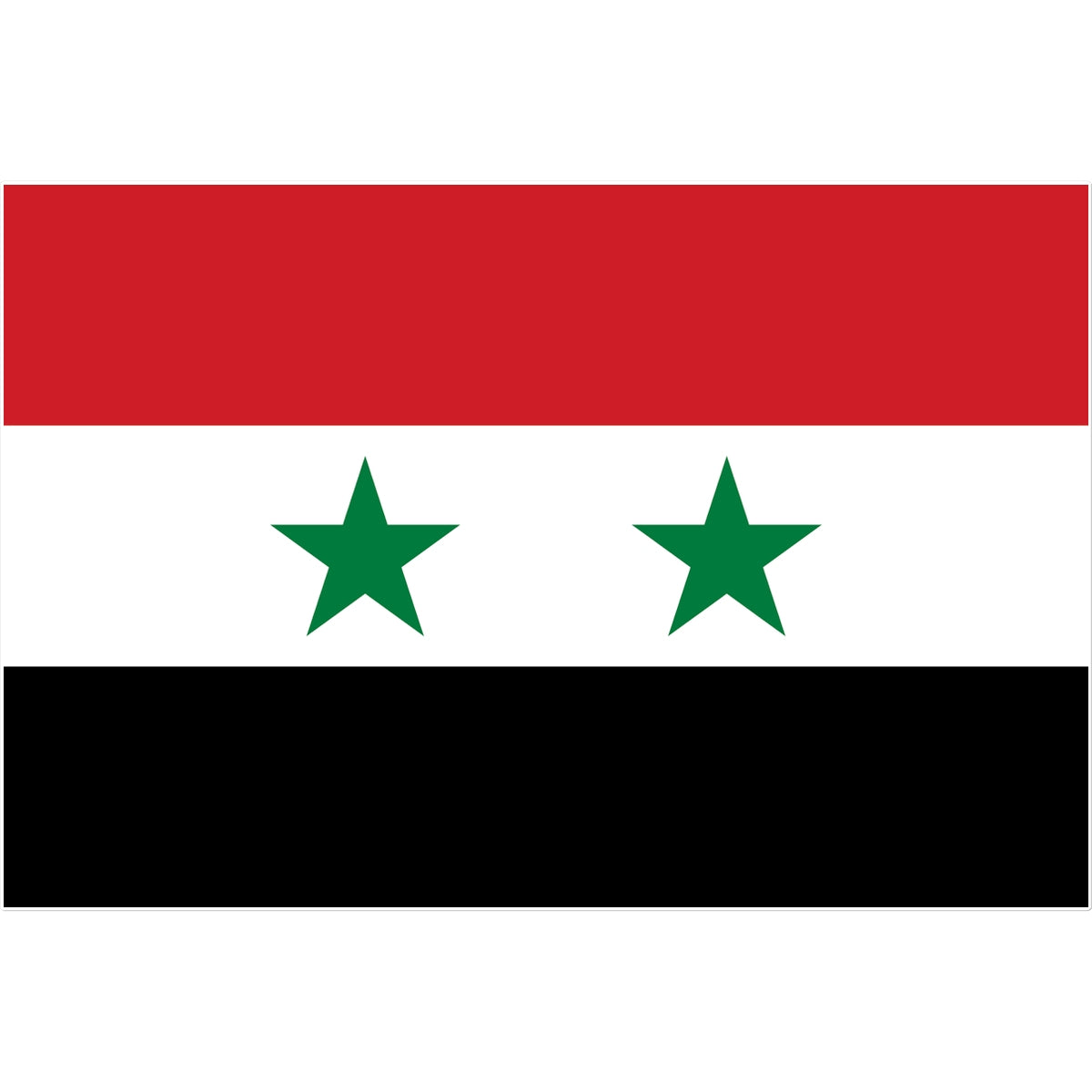 Syria Flag Tattoo (Temporary) Tattoos Prodigi 8"x8"  