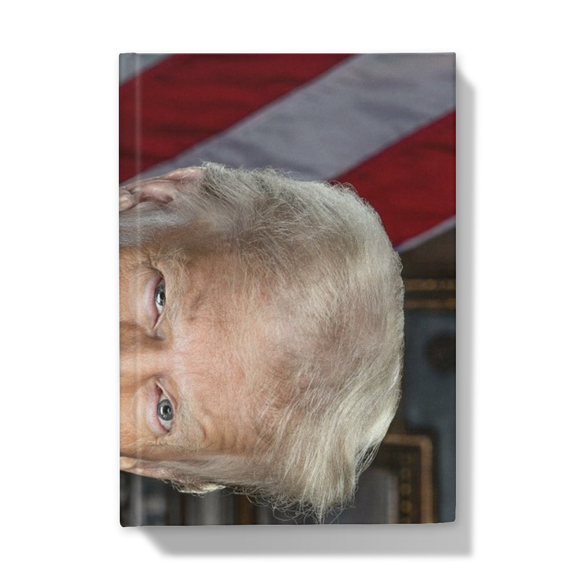 DONALD TRUMP - FAFO Hardback Journal Stationery Prodigi 5"x7" Plain