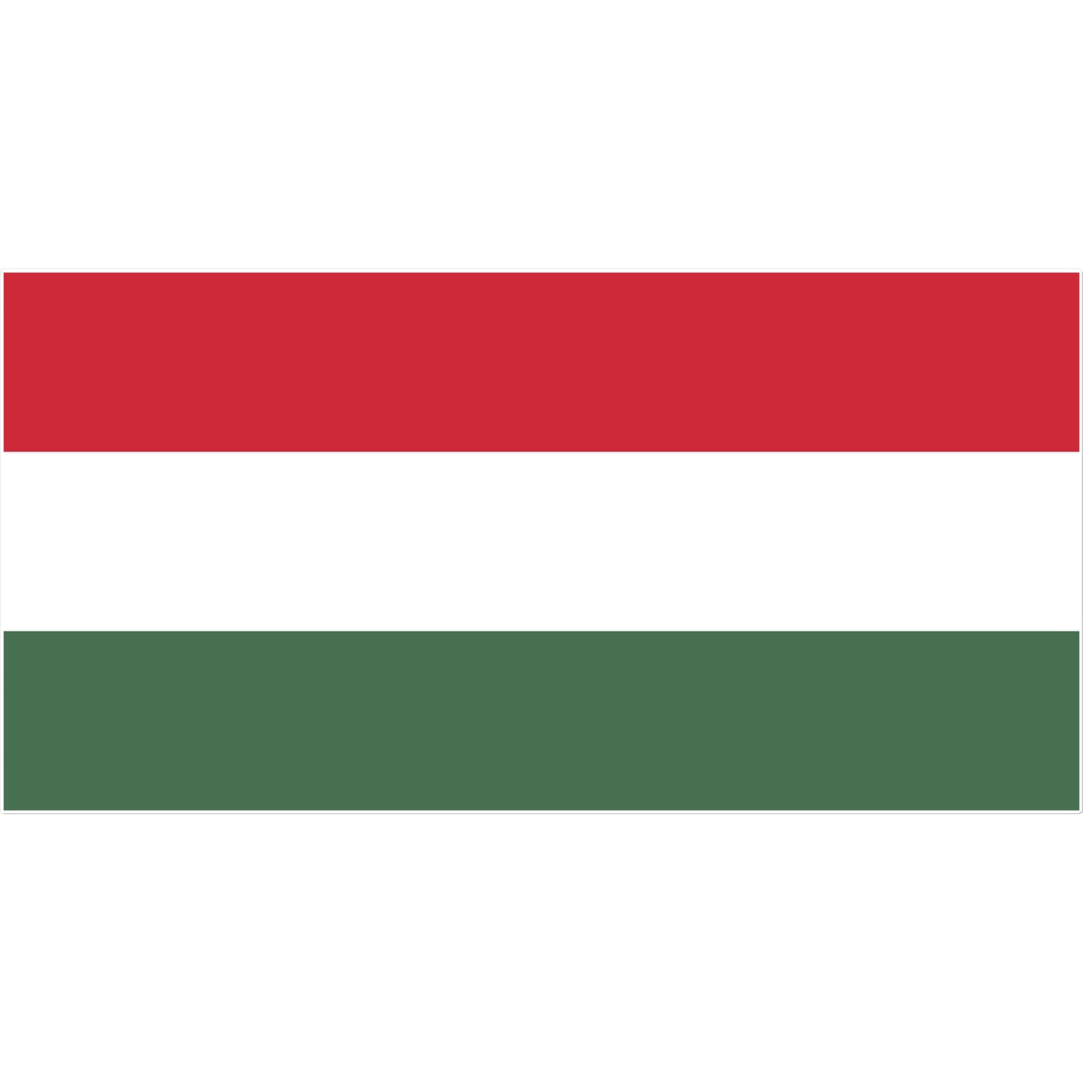 Hungary Flag Tattoo (Temporary) Tattoos Prodigi 8"x8"  