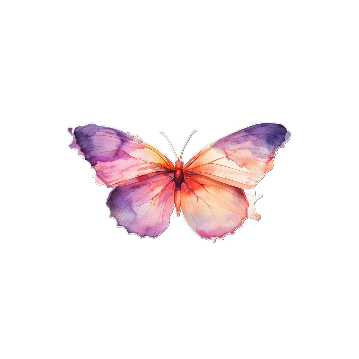 Water Colors  Butterfly Tattoo (Temporary) Tattoos Prodigi 2"x3"  