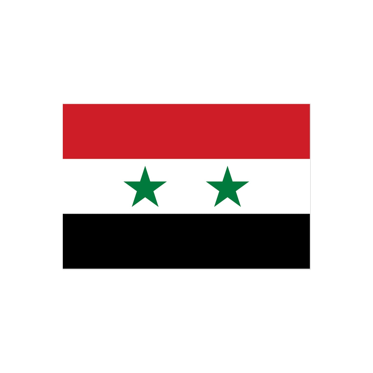 Syria Flag Tattoo (Temporary) Tattoos Prodigi 4"x6"  