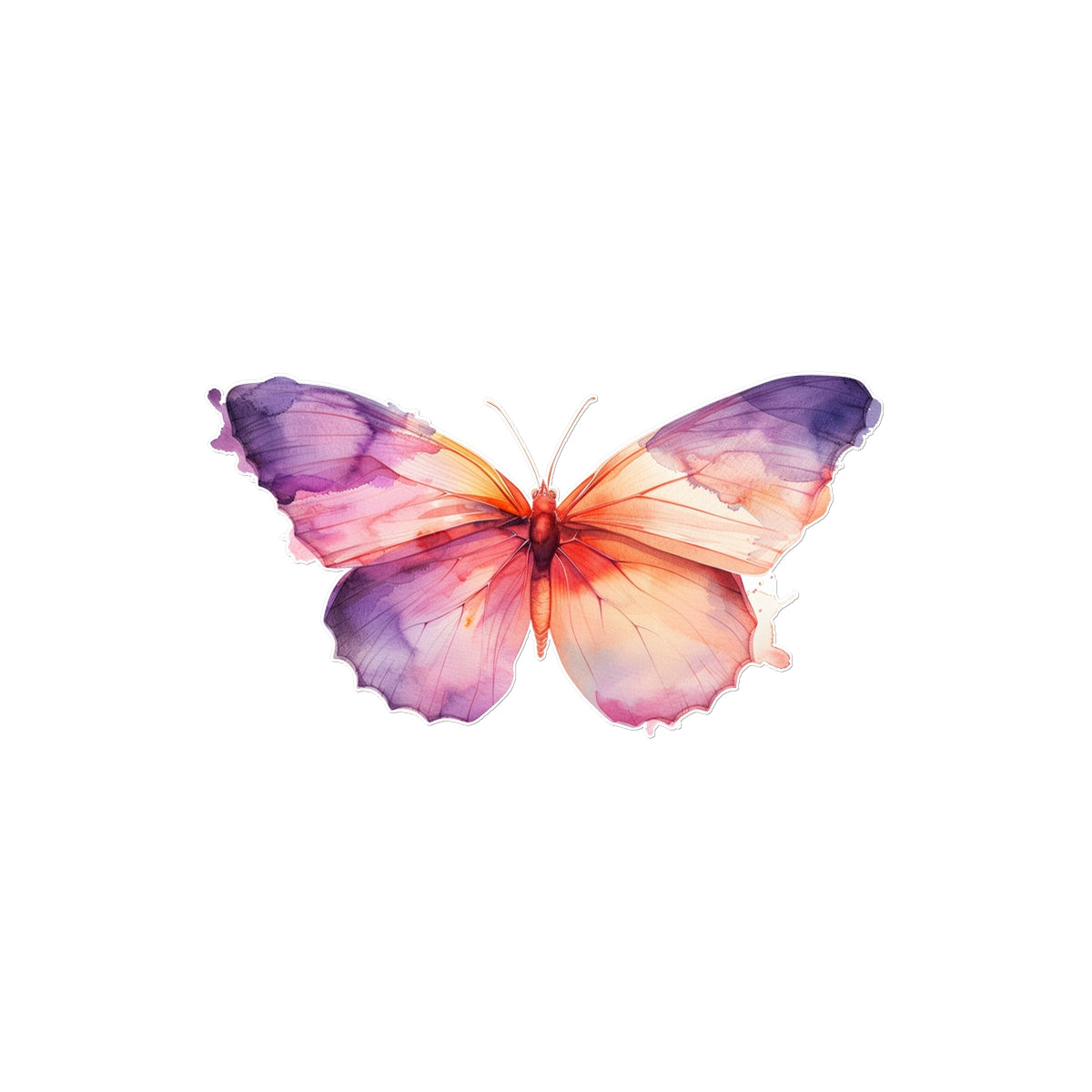 Water Colors  Butterfly Tattoo (Temporary) Tattoos Prodigi 4"x6"  