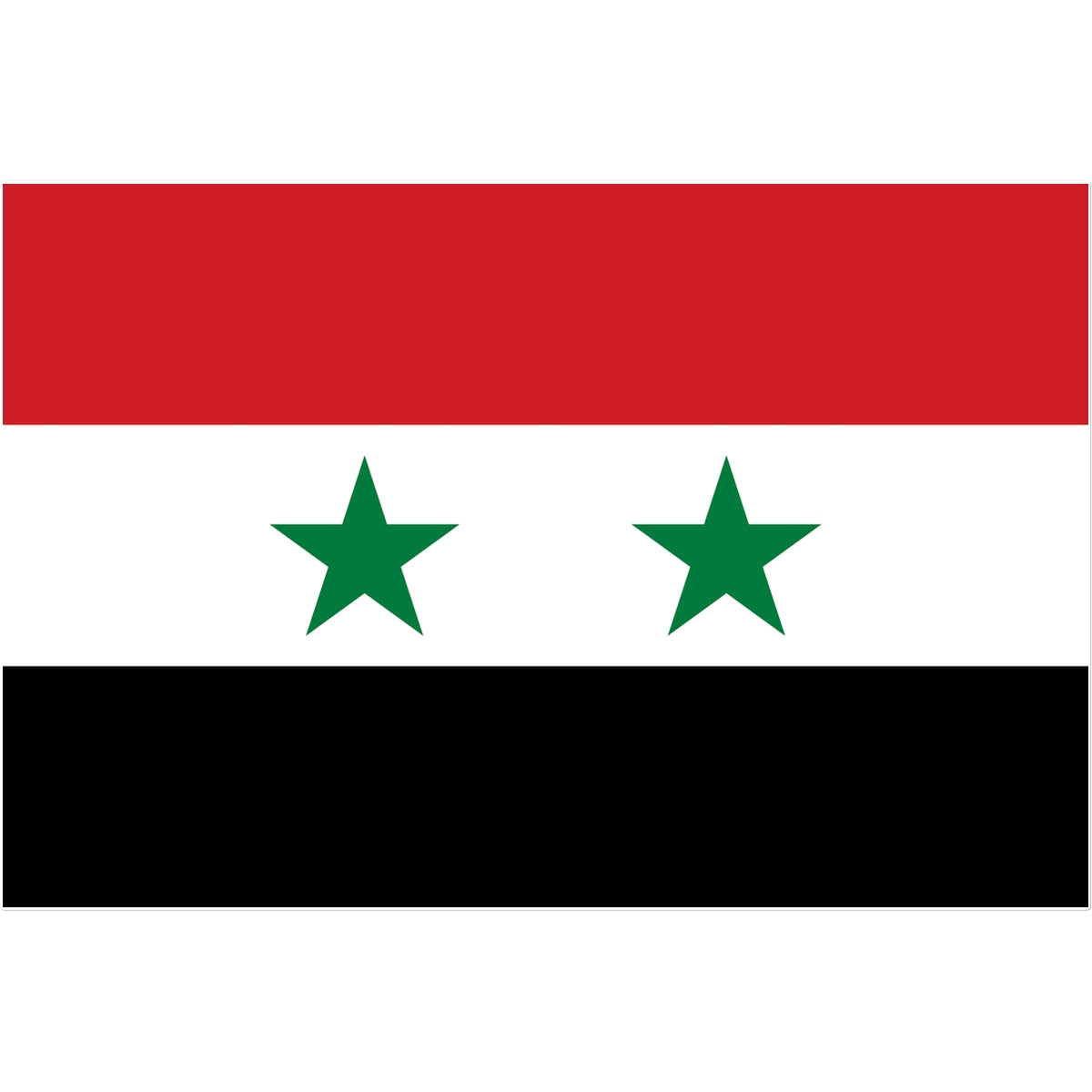 Syria Flag Tattoo (Temporary) Tattoos Prodigi 12"x12"  